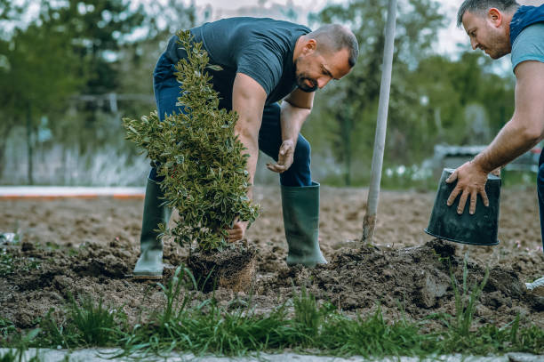 Best Utility Line Clearance  in Cape Canaveral, FL