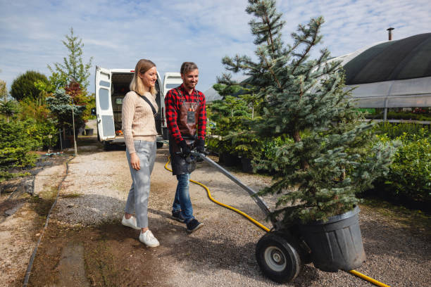 Best Root Management and Removal  in Cape Canaveral, FL